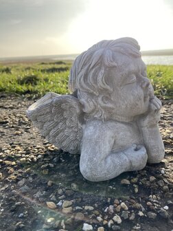 	Schaaltje achter engel beeldje voor plantje of kerstster