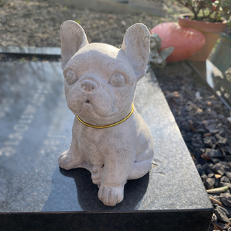 Franse Bulldog Gedenkbeeld van Beton