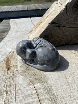 Hond met vleugels 