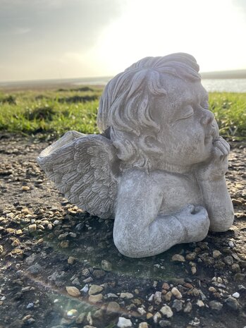 	Schaaltje achter engel beeldje voor plantje of kerstster