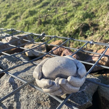 Grafbeeld handen met hart