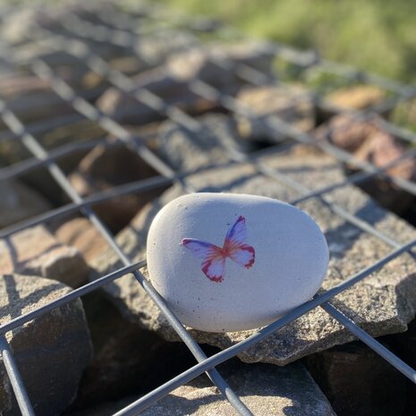 Herdenkingssteen met vlinder