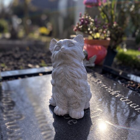 gedenksteen kat beton handgemaakt