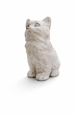 herinnering kat betonnen kattenbeeld