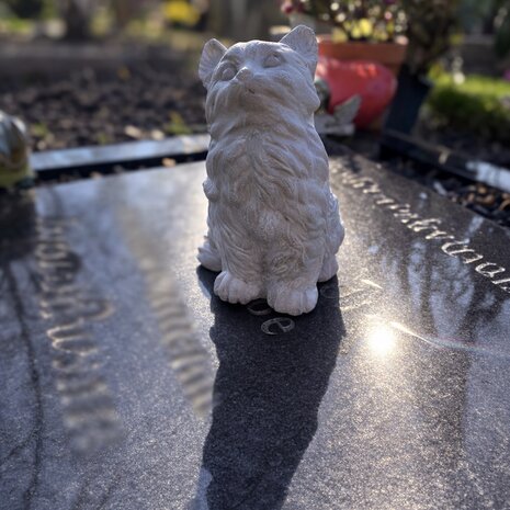 kattenbeeld gedenksteen grafdecoratie kat