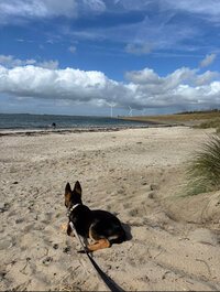 Dina voor altijd in ons hart