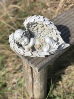 Beschermvleugel grafdecoratie
