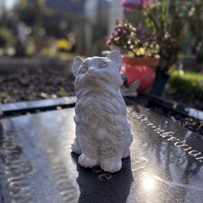 Katbeeldje voor op graf | handgemaakt beton gedenkbeeld kat