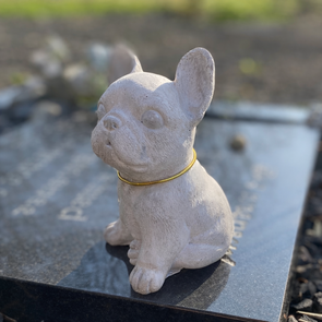 Franse Bulldog Gedenkbeeld van Beton